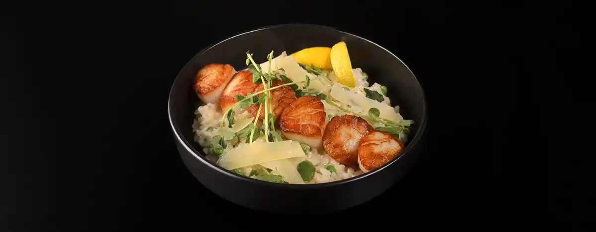 Day Boat Scallops